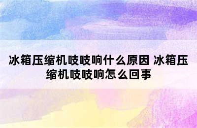 冰箱压缩机吱吱响什么原因 冰箱压缩机吱吱响怎么回事